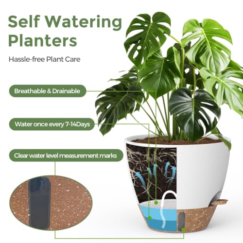 LifeNest Self-Watering Pots DROPS TO - image 3