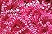 1/2 LB Crinkle Cut Paper Shred - Pink