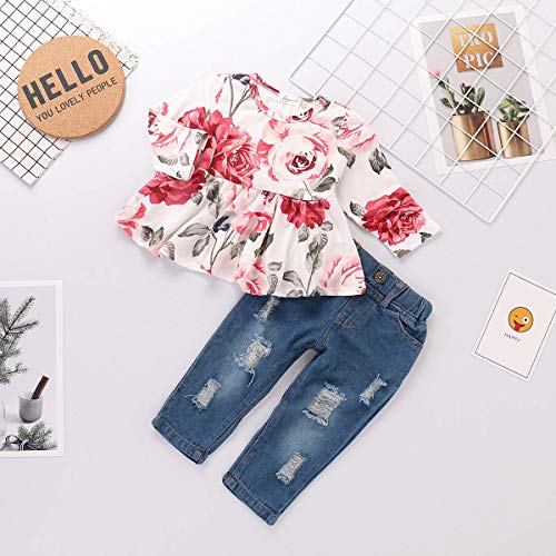 Caretoo Girls Clothes Outfits, Cute Baby Girl Floral Long Sleeve Pant Set Flower Ruffle Top #TOP3
