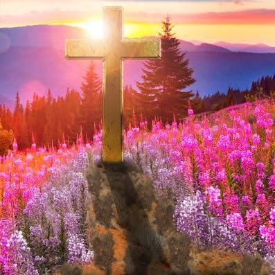 Book Description Part 2: Christianity A Successful Failure