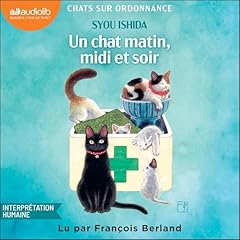 Diseño de la portada del título Un chat matin, midi et soir