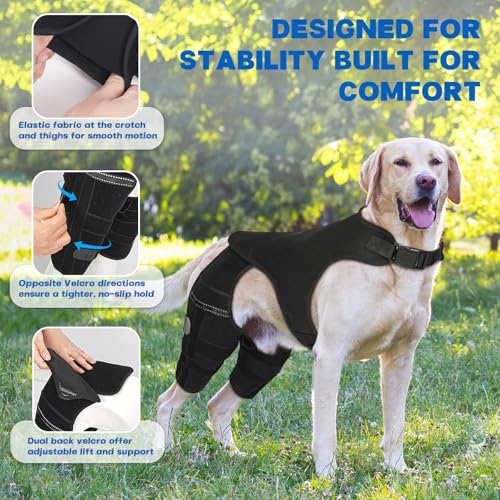 Image of Dog Knee Brace for Torn ACL Hind Leg, Adjustable Dog Leg Braces for Back Leg with 4 Metal Stabilizers Helps with Torn CCL, Luxating Patella, Ligament Injuries, Hip Dysplasia,XL