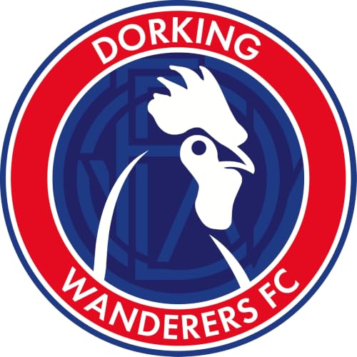 Dorking Wanderers FC copertina