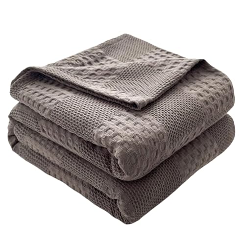 \ RbgX[uPbg\tgʋCX[uPbgJE`\t@\t@֎qxbhLvsNjbNp̌yʃxbhuPbg @\