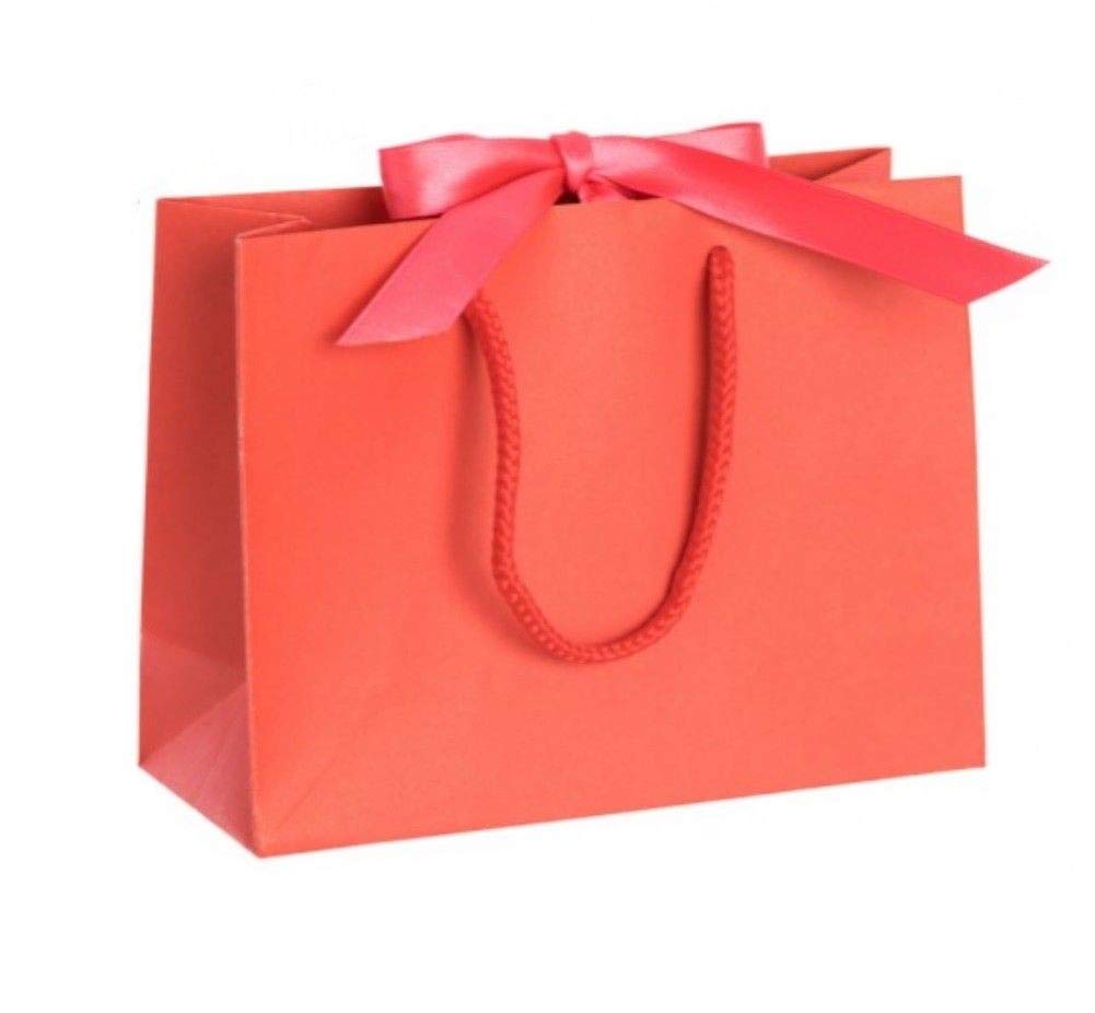 Luxury Boutique Gift Bag with Ribbon Tie & Rope Handles - Premium Recycled Paper - Perfect for Wedding Presents, Party Bags, Baby Shower (Coral Red Small, 20 bags)