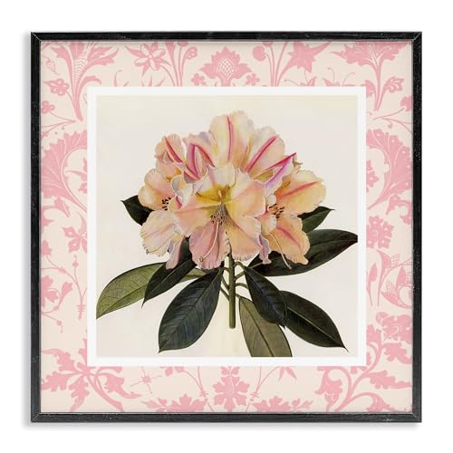 Pink Vintage Botanical Floral Pattern, 17 x 17 Inch Framed Giclée Print