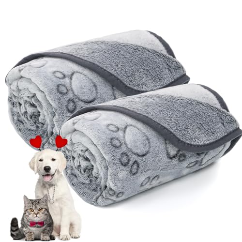 Get Your Furry Friend Cozy with the Top 10 Blankets for Small Dogs A