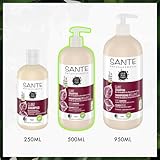 SANTE Naturkosmetik FAMILY Glanz Shampoo, silikonfreie Glanzpflege mit Bio-Birkenblattextrakt und pflanzlichem Protein, vegane Haarpflege für gepflegtes und natürlich glänzendes Haar, 500ml