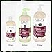 SANTE Naturkosmetik FAMILY Glanz Shampoo, silikonfreie Glanzpflege mit Bio-Birkenblattextrakt und pflanzlichem Protein, vegane Haarpflege für gepflegtes und natürlich glänzendes Haar, 500ml
