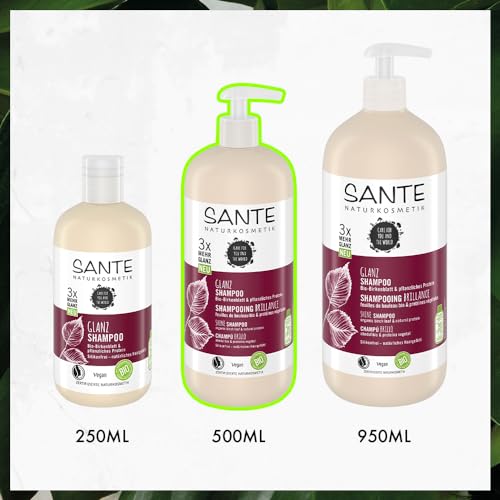 SANTE Naturkosmetik FAMILY Glanz Shampoo, silikonfreie Glanzpflege mit Bio-Birkenblattextrakt und pflanzlichem Protein, vegane Haarpflege für gepflegtes und natürlich glänzendes Haar, 500ml