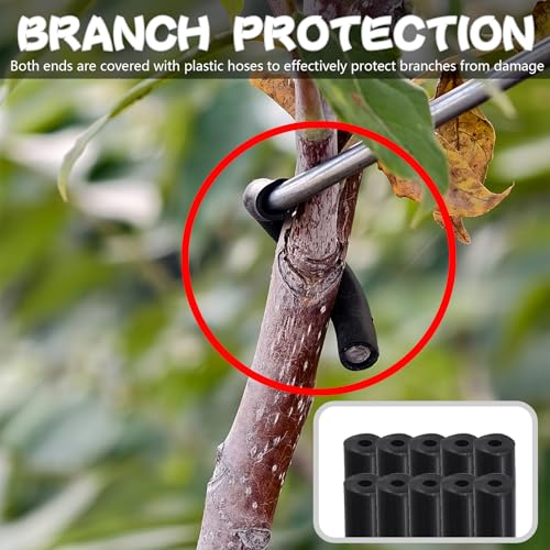 Separadores para ramas de árbol frutal 20 piezas miniatura 4