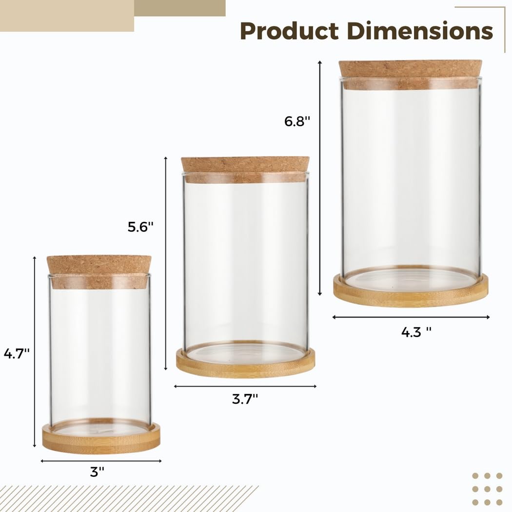 Lot de 3 vases en Verre, Stations de Propagation pour Plantes hydroponiques, avec Soucoupe en Bois, Couvercle en liège, vases de Plantation pour Bureau, Maison, Jardin, déco de Table