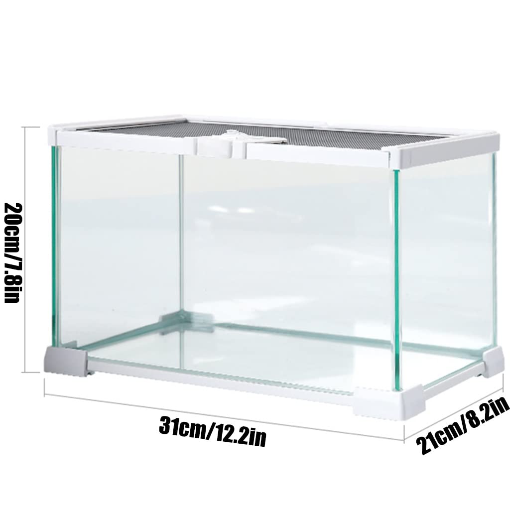 Tanque de Vidrio Templado para Reptiles, Apertura Superior, Terrario para Reptiles, Lagarto, Camaleón, Gecko, Incubadora de Mascotas con ventilación de Pantalla Superior (A 31x21x20cm)