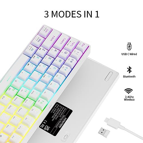 Image of Newmen GM610 60% Wireless Mechanical Gaming Keyboard,Wired /Bluetooth /2.4G Keyboard,RGB Backlit,61 Anti-Ghosting Keys,Programmable,Hot-Swappable,for Windows Mac Android (White /Red Switch)