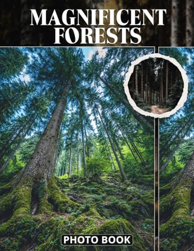 Magnificent Forests Photo Book: Lush Woodland Photography Capturing Towering Trees