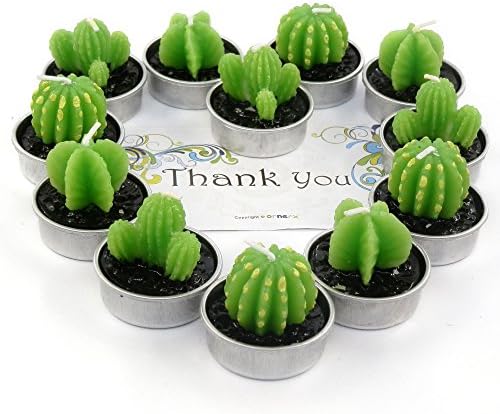 Ornerx Decorative Cactus Candles Tea Light Candles Set for Spa Wedding Party Home Decoration Valentines Day 12 Pcs