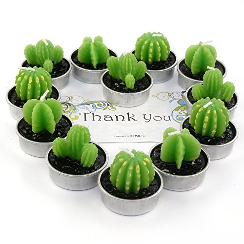 Ornerx Decorative Cactus Candles Tea Light Candles Set For Spa Wedding Party Home Decoration Valentines Day 12 Pcs #TOP2