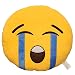 EvZ 32cm Emoji Smiley Emoticon Yellow Round Cushion Stuffed Plush Soft Pillow
