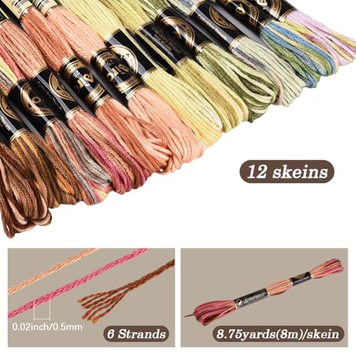 Image of 12 Skeins 105 Yards Cross Stitch Floss Colorful Embroidery Thread 6 Ply Variegated Polyester Friendship Bracelet String Bulk for Sewing Making Needlecraft Knitting Clothes Stitching Decor