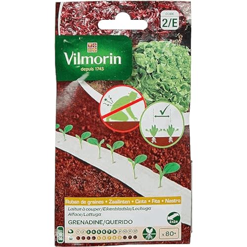 VILMORIN Ruban Mélange Seeds Duo de Laitues A Cooper Mug 2 x 2 m