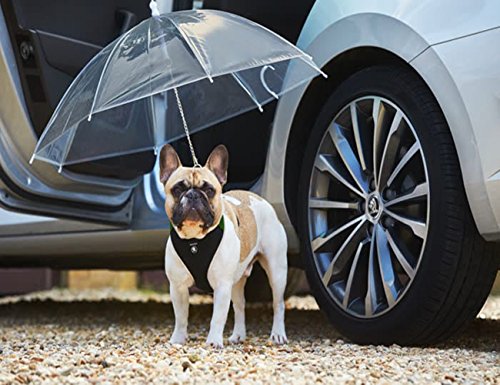 Transparenter Hundeschirm / Pet Umbrella, COUTUDI Haustierregen Zubehör mit Ultra Stark Eingebauter Leine Ideal für Welpen von 20 Zoll Zurück