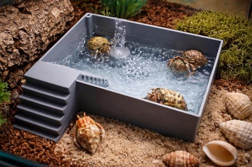 3DAquaticSolutions Large Hermit Crab Bubbler Pool with Built-in Ramp Spacious Room for Crabbies Soaking Bath Tub Easy to Access & Climb. Sturdy & Durable Material. (Gray Large)