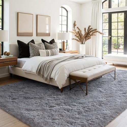 Grey Rugs for Bedroom Fluffy 3x5 ft Living Room Rug Non-Slip Area Rugs Shag Carpet for Nursery Kids Play Room Dorm Office Indoor Modern Plush Carpets Boys Light Gray