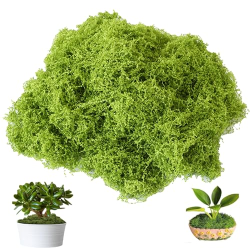 Kunstmoos Zum Dekorieren, Moos, 150g Für Moosbilder, Kunstmoos Zum Basteln, Kunstmoos, Kunst Moos, Moos Deko, Künstliches Moos,Wanddeko, Moosgirlande, Moosmatte, Heimdekoration