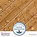 Thompson’s WaterSeal Transparent Waterproofing Wood Stain and Sealer, Desert Tan, 1 Gallon