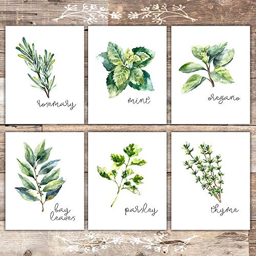 Best Wall Art For Kitchen Watercolor Mason Jar