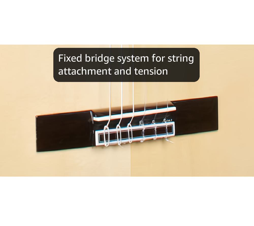 Cordoba C7 SP Classical Acoustic Nylon String Guitar, Iberia Series