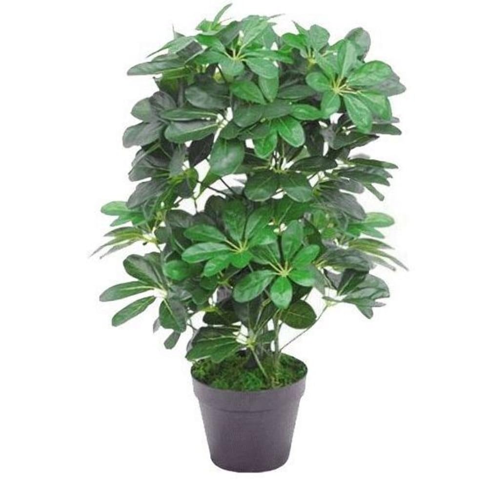 Leaf Artificial Arboricola Evergreen Plant