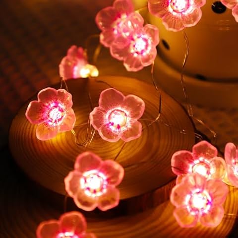 Guirlande lumineuse A.bigwhale 20 LED Cover