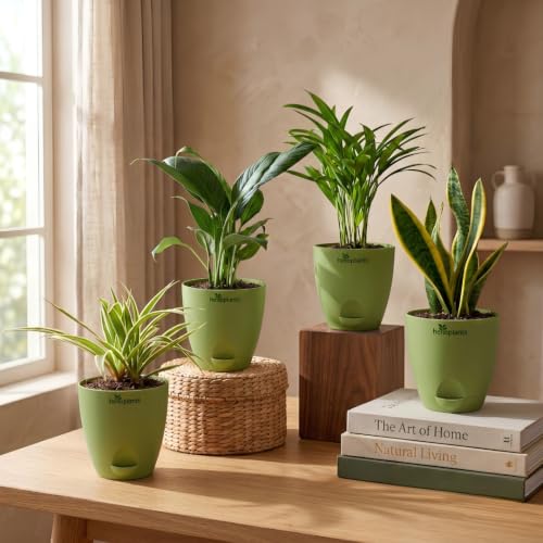 Image of Spider Plant, Peace Lily, Areca Palm & Snake Plant Live Indoor 4-Plant Combo in 4-Inch Self-Watering Matte Green Pots | Air-Purifying Oxygen Plants for Bedroom, Living Room & Office Decor