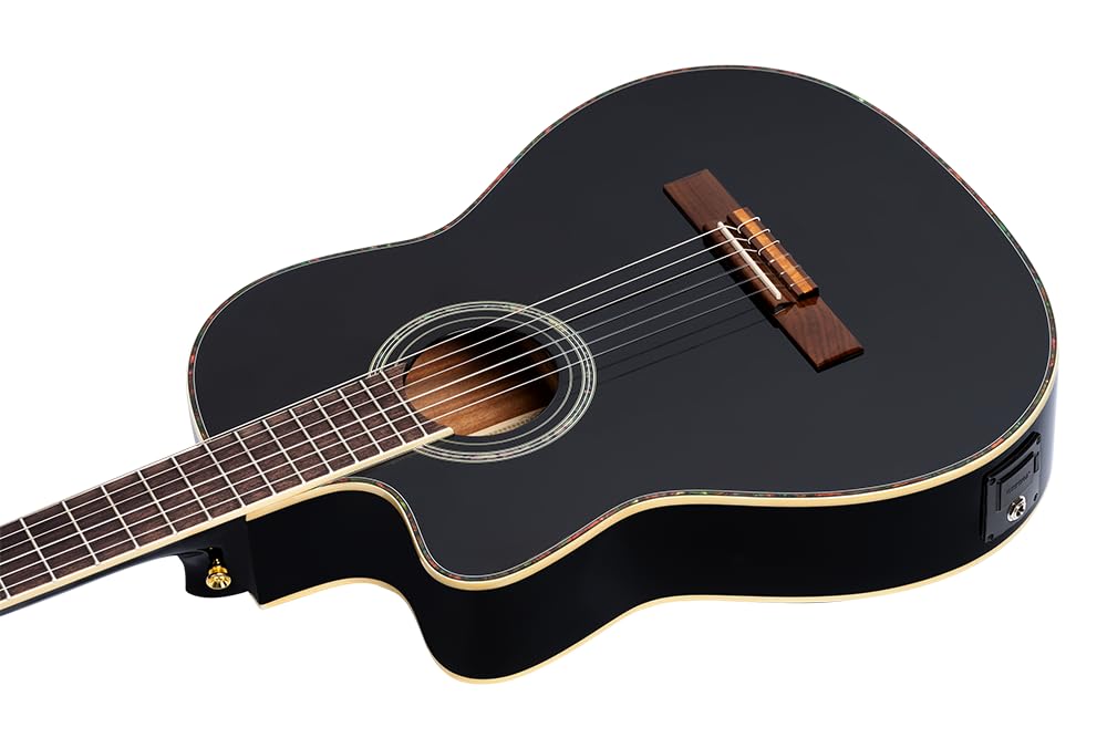 Amazon | ORTEGA オルテガ クラシックギター FAMILY Series PRO 