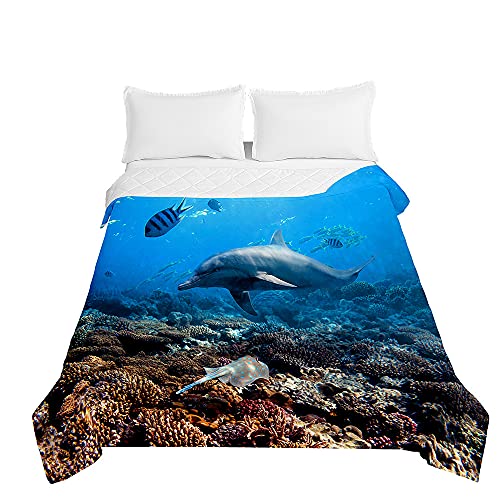 Surwin Colcha de Verano Primavera Reversible