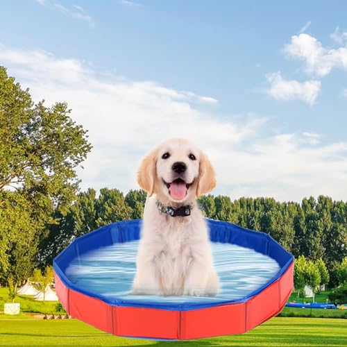 Hundepool, Planschbecken für Haustiere, 50 x 8 cm Pool für Hunde und Katzen, Faltbarer Pool für Hunde, Pool für große und kleine Hunde, tragbarer Pool für Haustiere