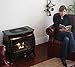 Duluth Forge FDSR25-GF Dual Fuel Ventless Gas Stove, Gloss Finish, Remote Control, 26,000 BTU