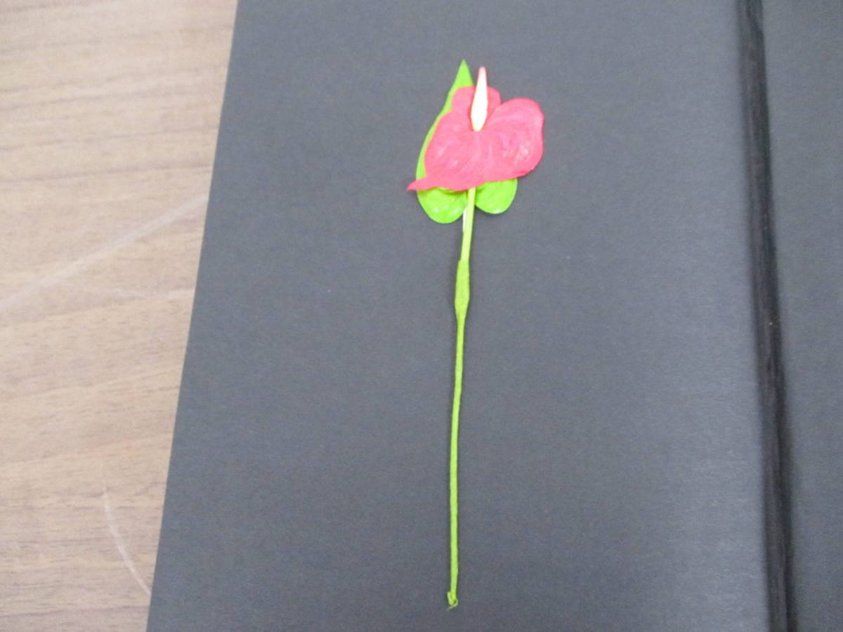 Amazon.co.jp: d10-3（寺山修司 地獄篇 サイン本）限定500部 署名入り