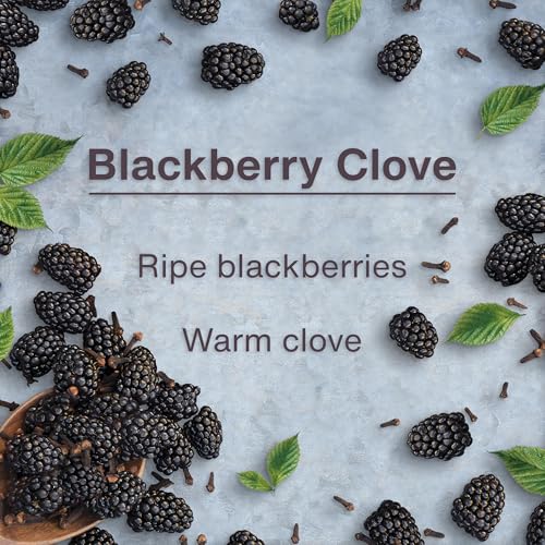 Image of LITTLE TREES Car Air Freshener | Hanging Tree Provides Long Lasting Scent for Auto and Home | 24 Air Fresheners |Blackberry Clove