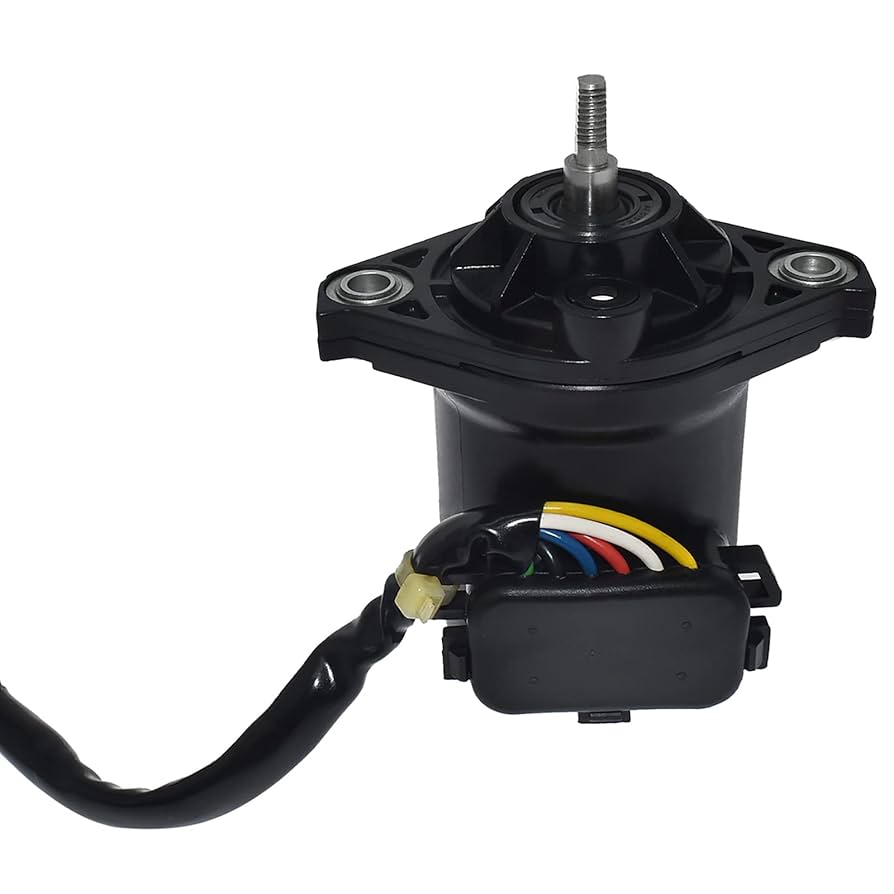 Amazon.com: Common Rail Fighter Electric Accelerator Part