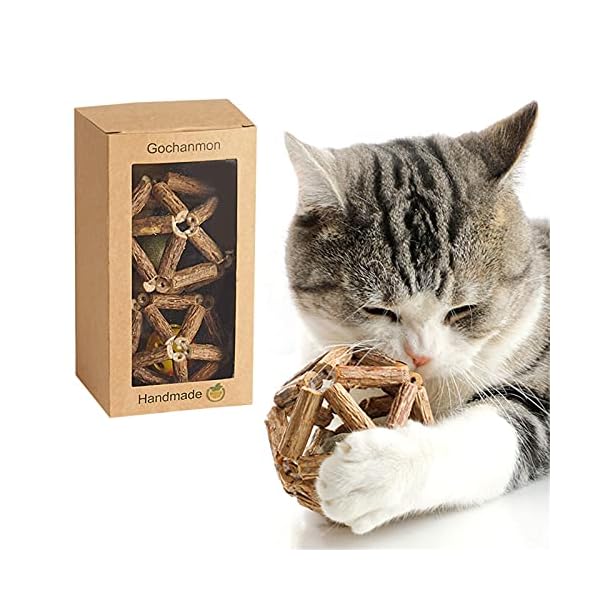 Gochanmon catnip toys-2pcs natural silvervine stick catnip ball&bell ball-cat toys for indoor cats- cleaning teeth molar tools matatabi cat chew toy-kitten toys
