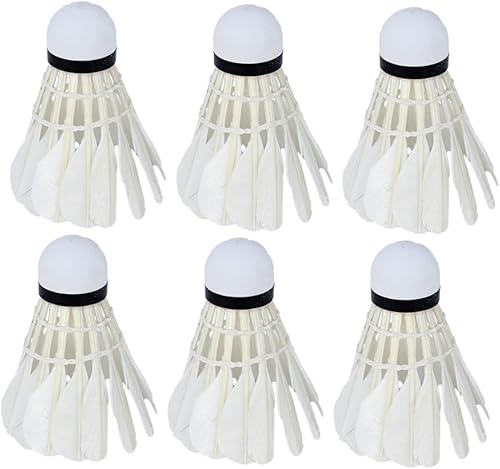 BESPORTBLE Volantes al aire libre, 12 piezas, volantes de bádminton, volante para bádminton, volantes para bádminton, para escuela, al aire libre,