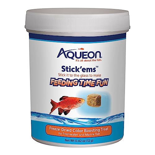 Best Tropical Fish Food Reviews and Top Picks