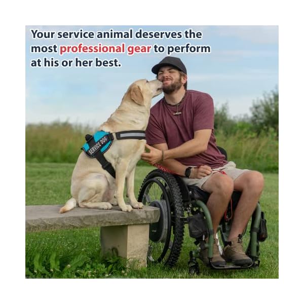 Service Dog Harness with Velcro Straps and Handle | Available in 7 Sizes from Extra Small to Extra Large | Vest Features Reflective Patch and Comfortable Mesh Design from Industrial Puppy Service Dog Harness with Velcro Straps and Handle | Available in 7 Sizes from Extra Small to Extra Large | Vest Features Reflective Patch and Comfortable Mesh Design from Industrial Puppy