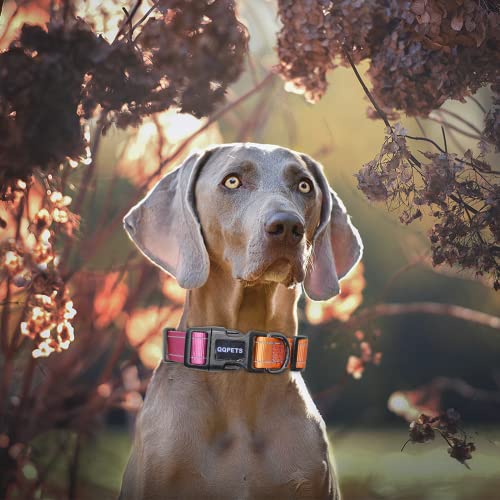 Dog Collar Reflective Nylon: Puppy Small Medium Large For Girl/Boy Pets Adjustable Heavy Duty Comfortable Collar Daily Walking Running (Small, Red-Orange) #TOP4