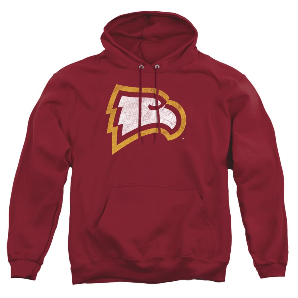LOGOVISION Official Collegiate Distressed Primary Logo Adult Pullover Hoodie Collection — view 262