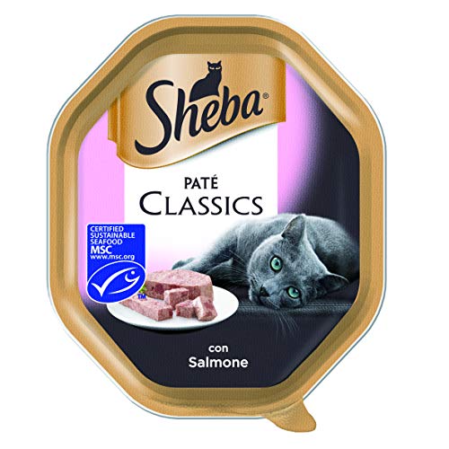 Sheba Paté Classics con Salmone - 22 Vaschette