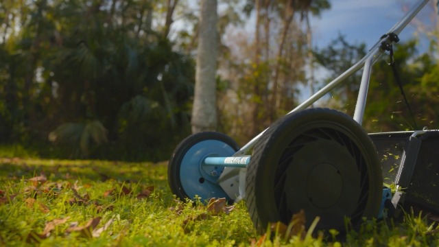 Amazon.com : American Lawn Mower Company 1604-16 16-Inch 5-Blade