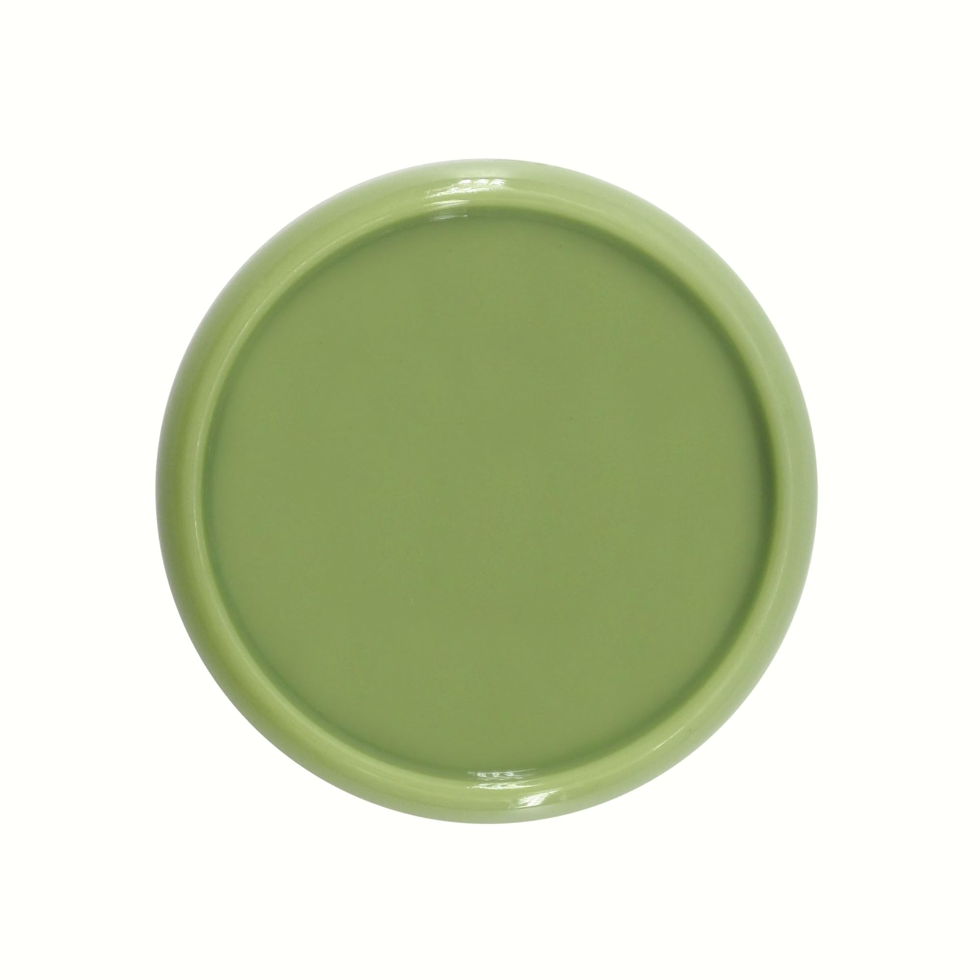 ITSYHPRO 33PCS Discbound Expansion Discs Rings for DIY Bind Notebook and Planner Back to School Supplies (Light Green,0.9"/24 mm)